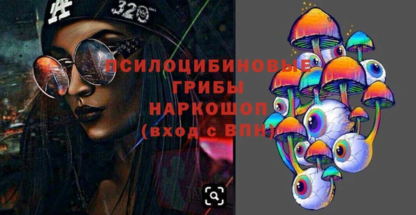 твердый Гусиноозёрск