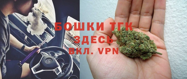 не бодяженный Гусев