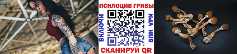 Псилоцибиновые грибы мицелий Онега